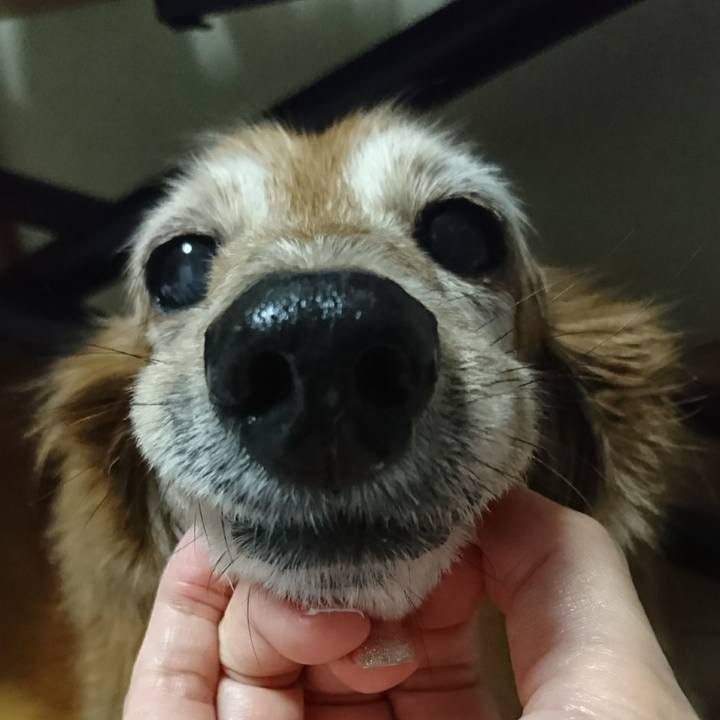 C40f4bdc 8665 41b0 8f89 560393300bdb