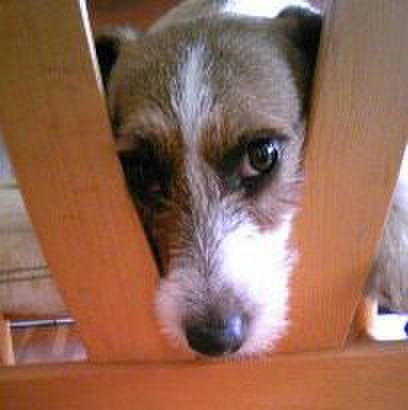 C4104bef 7dcf 48c7 b5ad ade3ba0042fd