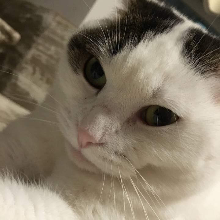 C41071c0 2417 4fc1 b133 dcfac944a0b7