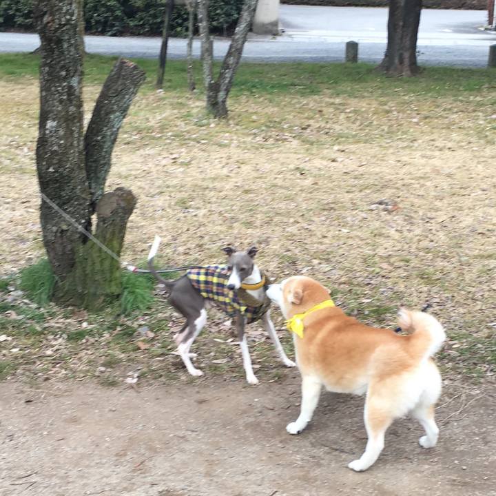 C410bdbc 9297 40ab 945e 94840077f60e