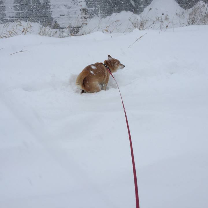 C410c87e a53d 486d 9084 93fb8b53f1d0