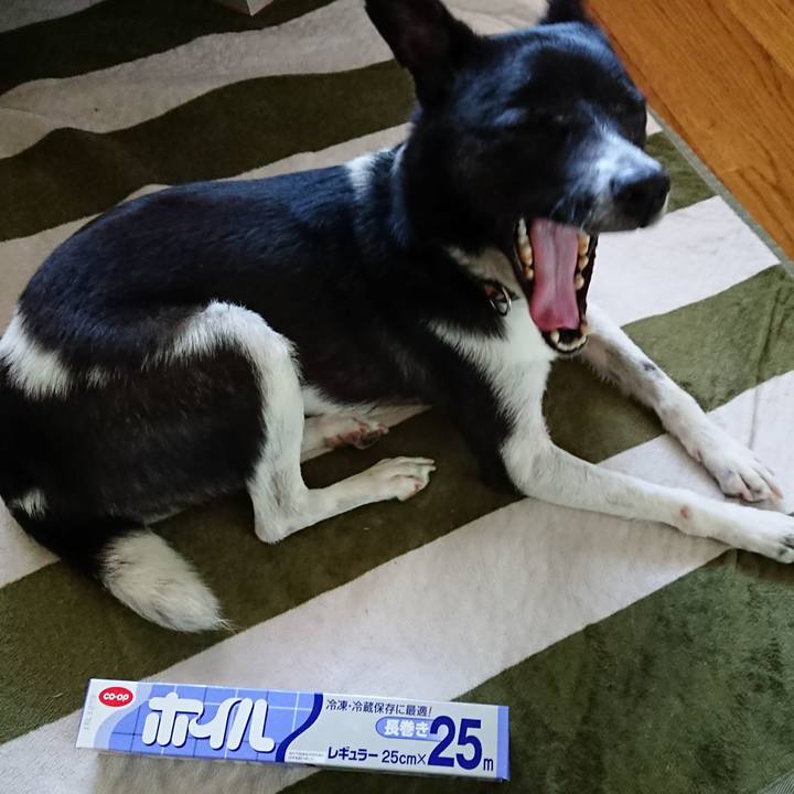 C410ca7c 1f1c 451d 8712 f1f0871cdcc9