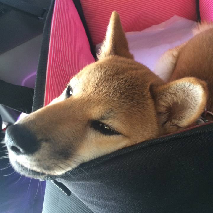 C41125a6 dad2 4a70 9342 0f91f6991a9e