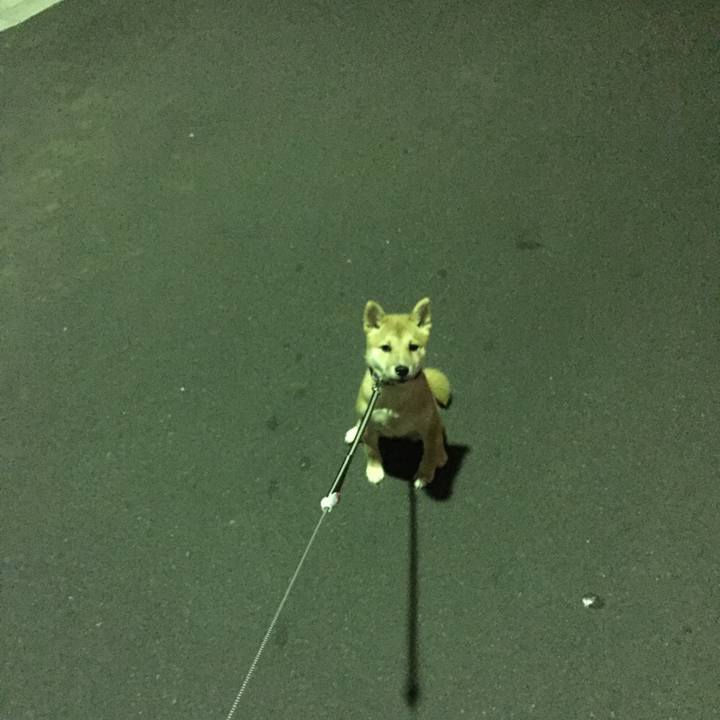 C411c3cc 671f 4d6a 9414 a7671cb47278