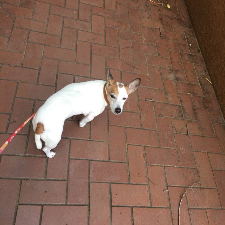 C412ffab 698d 471c 8aba 43604e3c649b