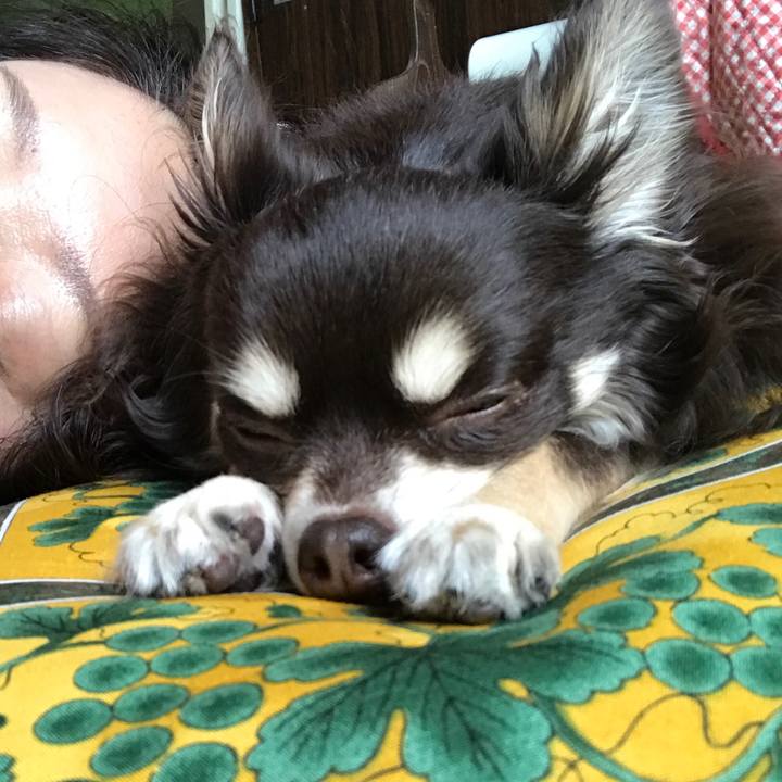 C413790f 707f 450d b3f3 3d29e6e37fe6