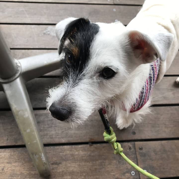 C413bd2e 753f 4428 ab37 64ef73233c90