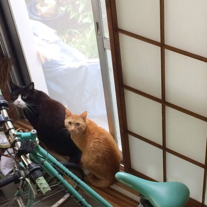 C413e3a1 e639 41ff 8d55 1c61703545ec