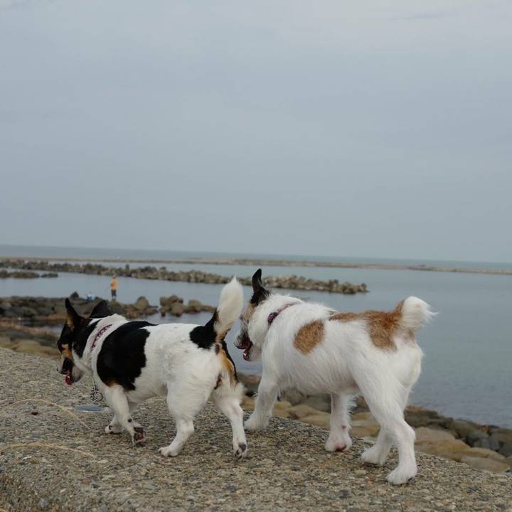 C4144f36 3019 4fe7 aef7 5d1c9a96655f