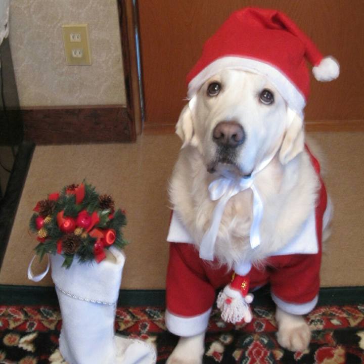 C4150280 09a4 4a76 b03c 536f671535b5