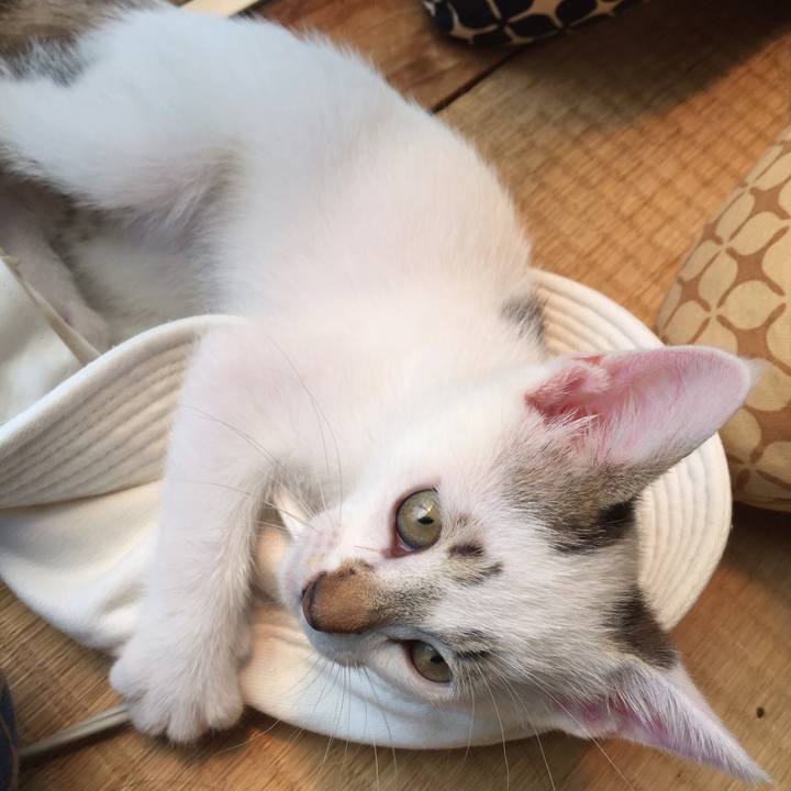 C4150c3c 45f2 46c3 85f6 7f8a29133300