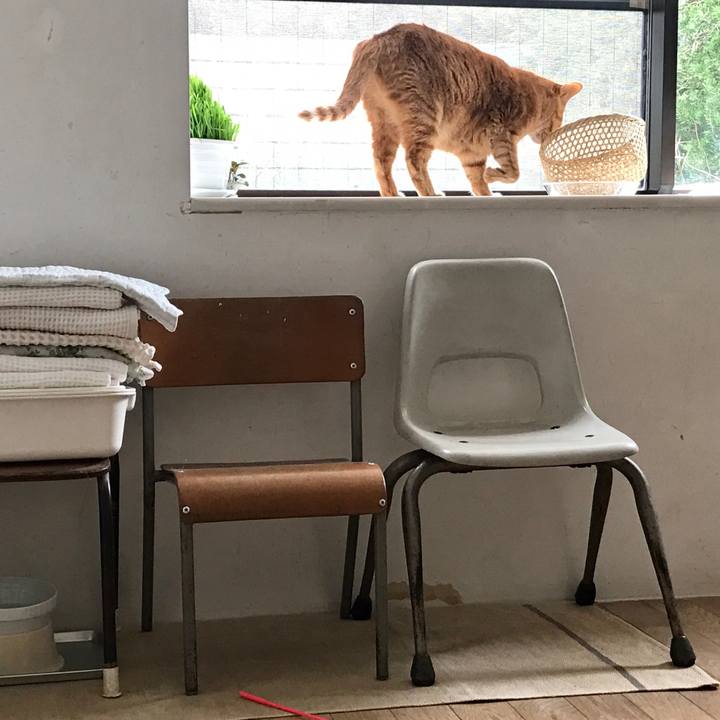 C41569f6 60ff 40e5 94e7 e8fd724ba1f7