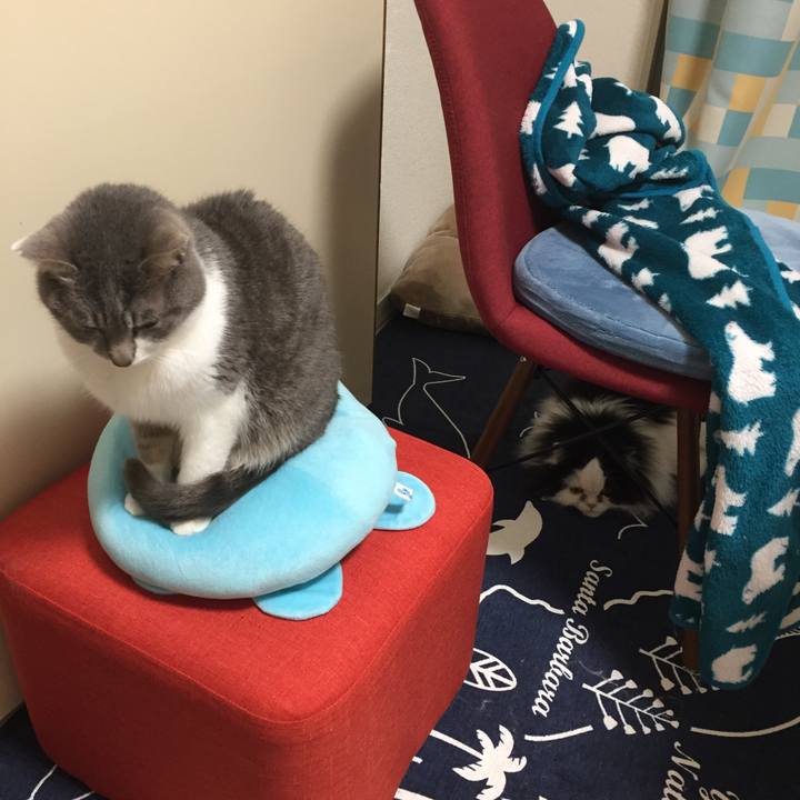 C4166c14 8692 4e76 a825 fd2cb9580795