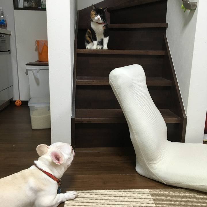 C4175885 52a3 43ea a6da 61b9998a2748