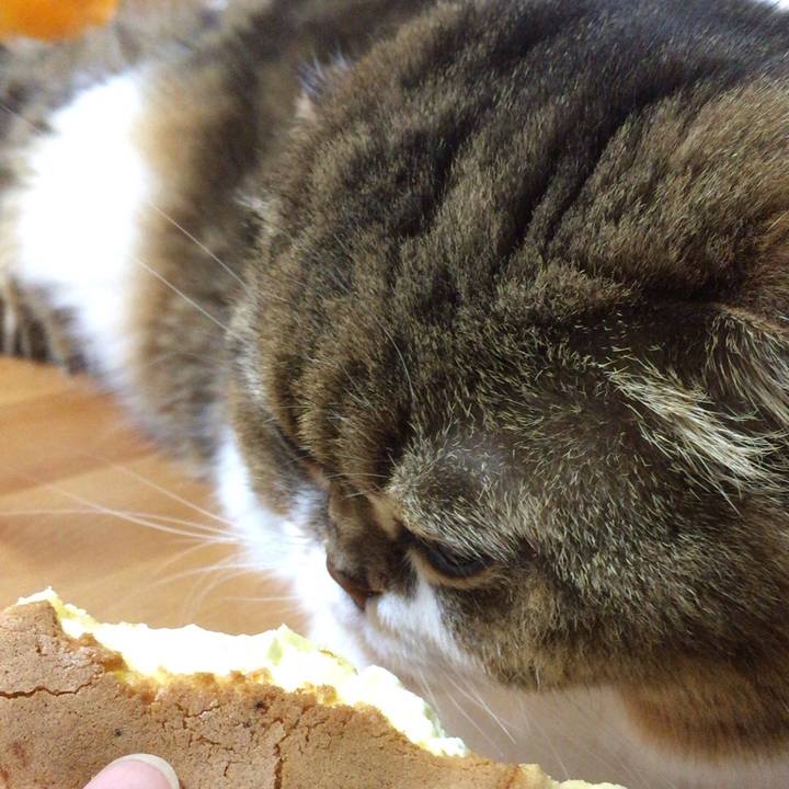 C417a99d 02b8 4935 b382 75b12a0d225b