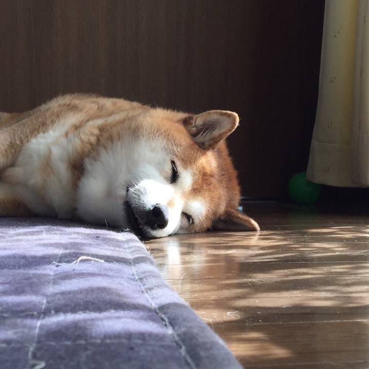 C417bc29 be06 488d 999c 5a75be36b766