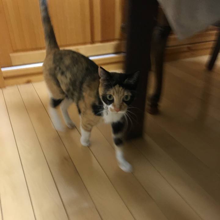 C41864e5 ed94 4bcc b0a4 04b26fdb7140