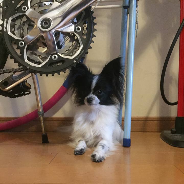 C418bd0c 1528 47cf 861b 008a8e335830