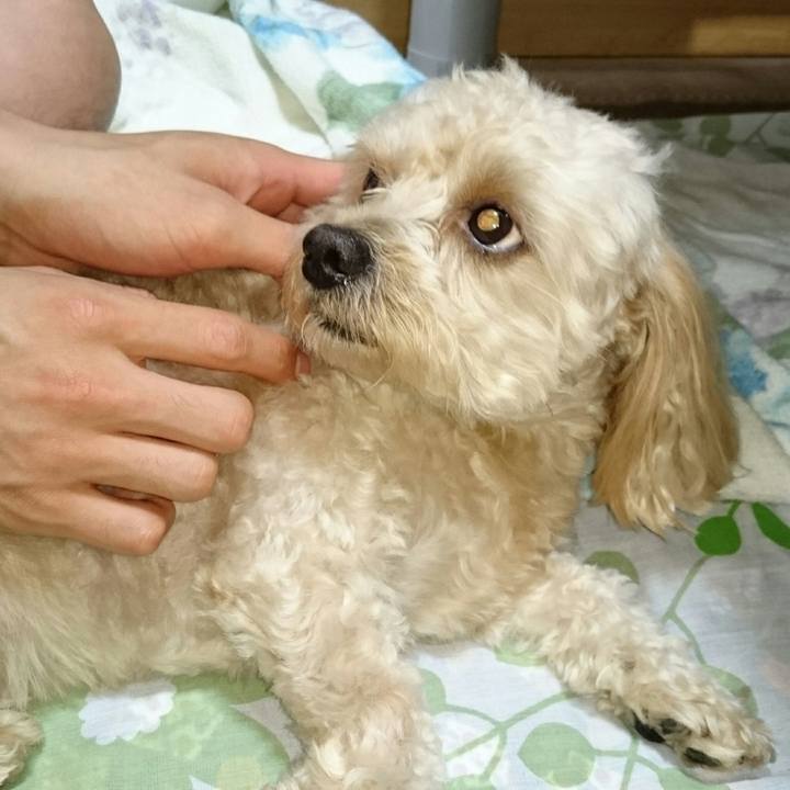 C418c3af 1513 4568 aadc 6f6af2d3b0f0