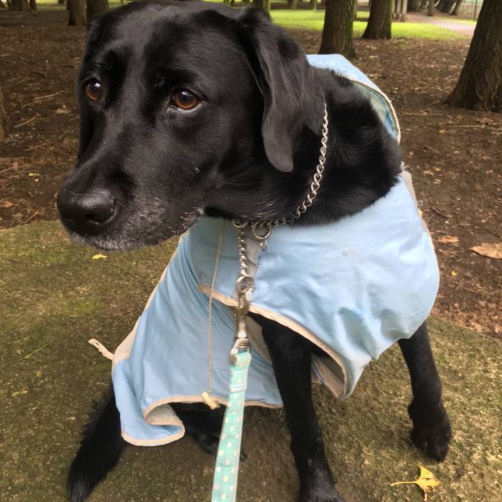 C41a4d50 d4c2 4457 8aed 429df0c75124