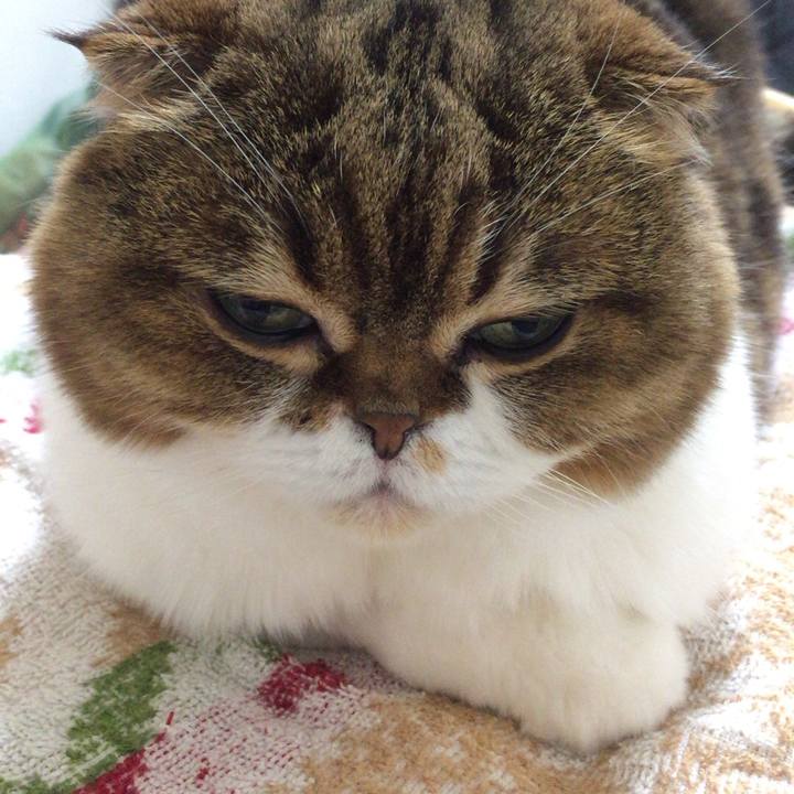 C41b3821 93d1 408e 8ff8 cdf90f4a1364