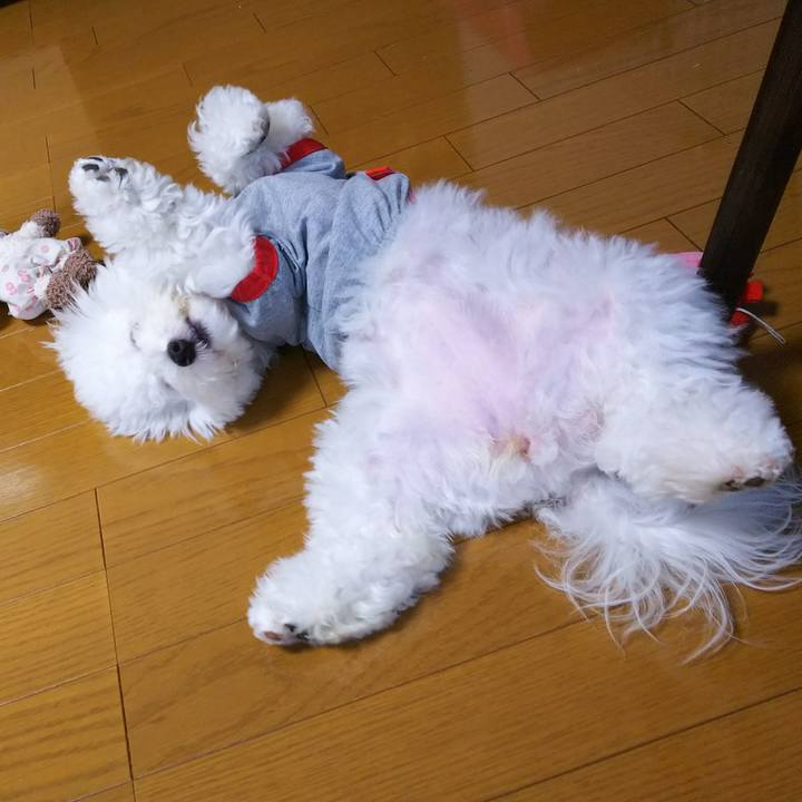 C41b526e 7bf9 40c4 b49b 6670f61de49a