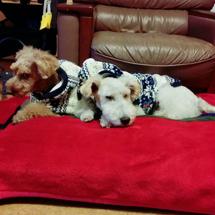 C41c664e 407a 46a5 b2c6 66d4955e52ea