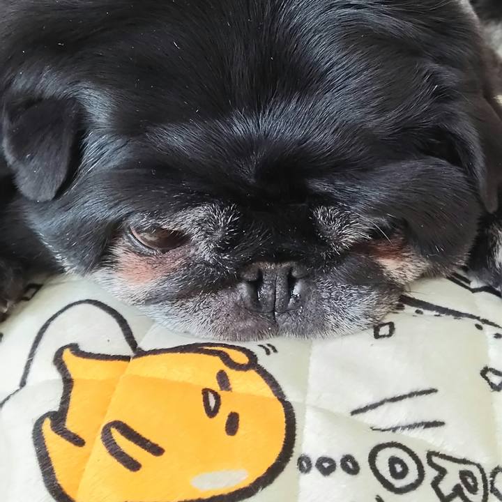 C41d842b e386 4d51 b274 c3d0bf1cb9f7