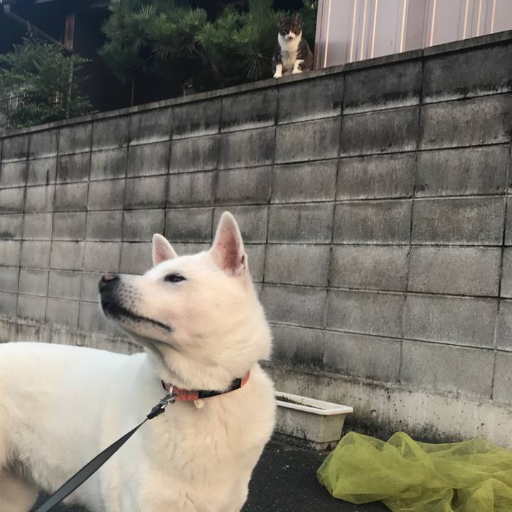 C41db68d 17d5 4fe5 9f44 f6e243d65ee4