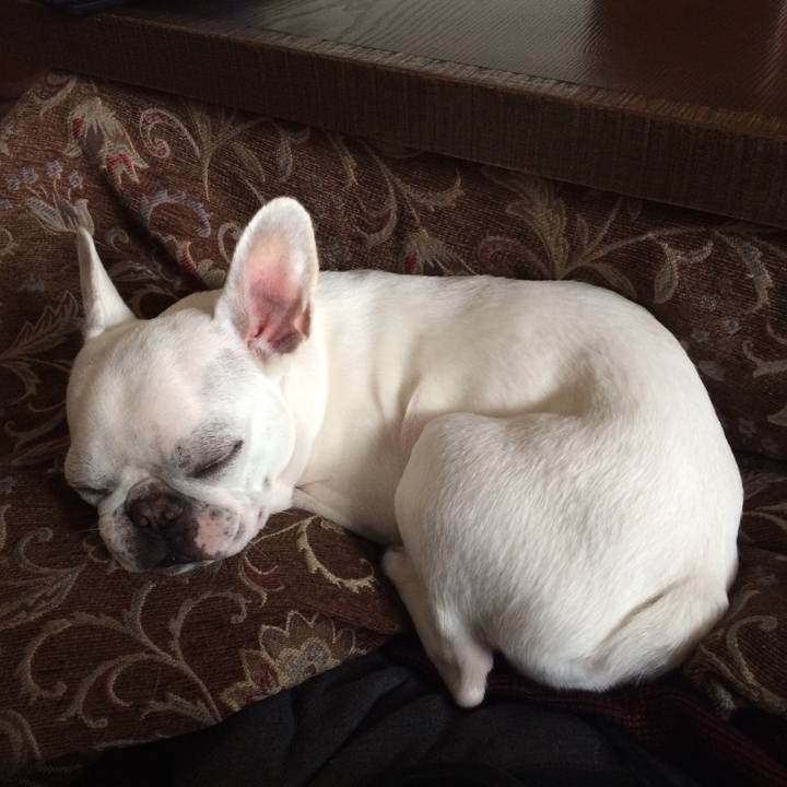 C41e3b74 d2c1 478b a447 b620b704b77c