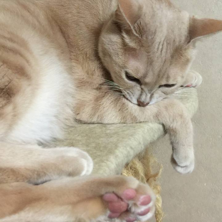 C41e3f11 21d8 4252 b0d9 8129a49e98e3