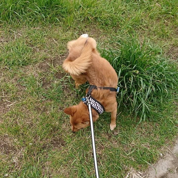 C41e52ca c71e 48aa b56f f39fae08f21f