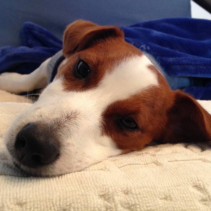 C41ea7bb db9b 4085 a469 57a884f058b2