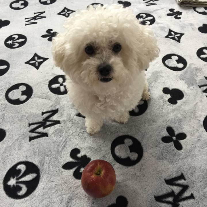 C41f0449 b6cf 491a 8be7 a9be5ad11e45