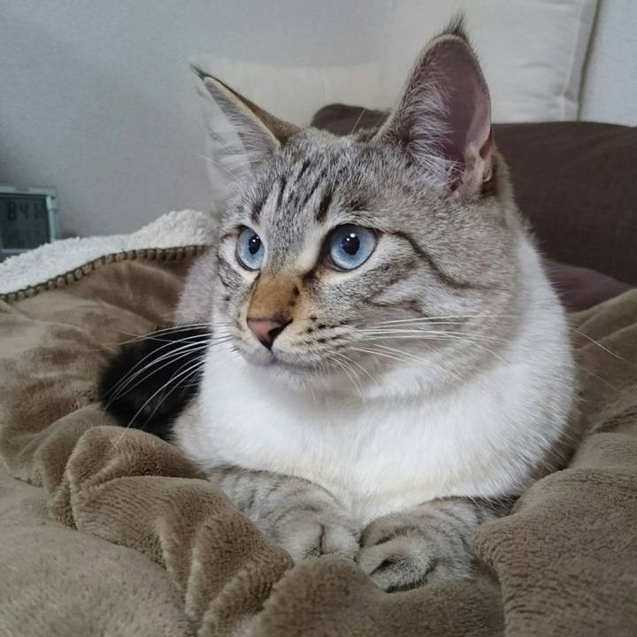 C41f1202 7eaf 4ba6 99c4 e2a51300ad94