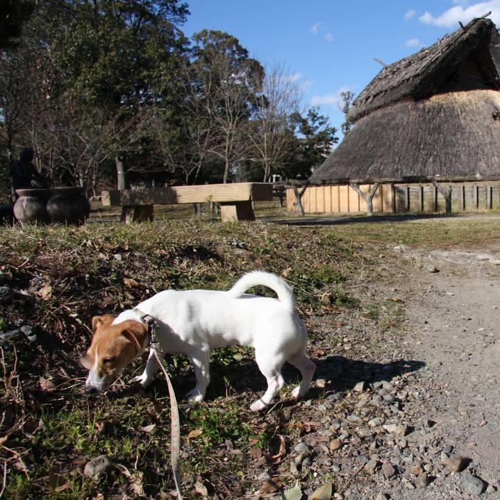 C41f370c 92bf 4a6f 9f07 ad845372693e