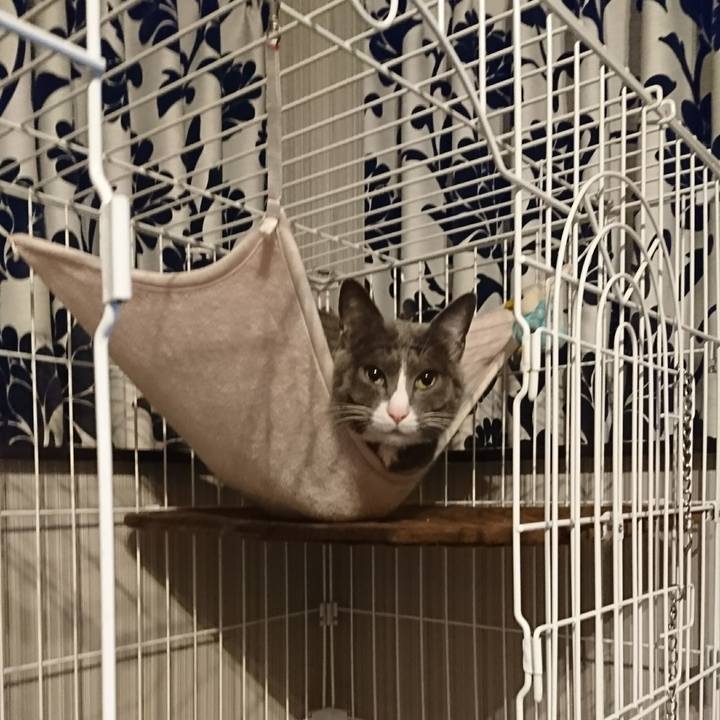 C4205622 bd1e 4814 843a 5c4feee930c3