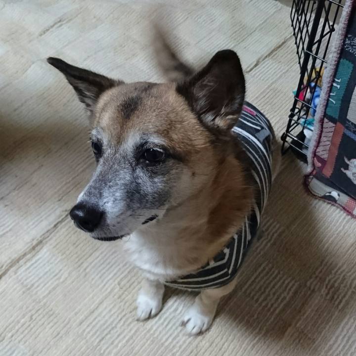 C420796e 8424 4c56 80be 184ae14ef034