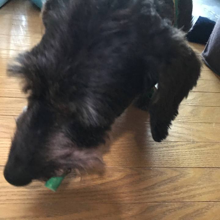 C421321c 8724 429c 8777 1c8043b59594