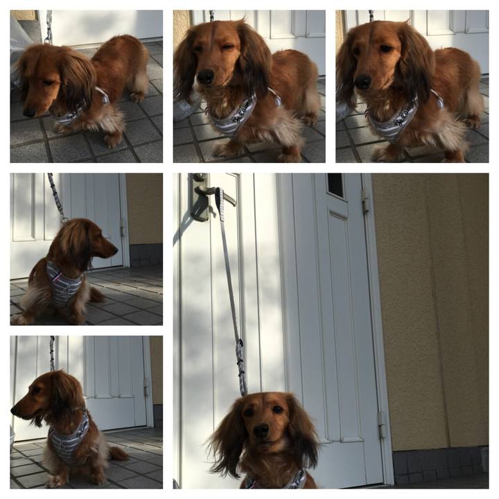 C4213948 6b59 4fdf afd5 393adcdc182a