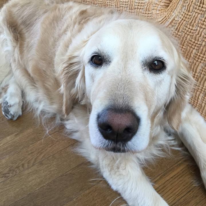 C42167b3 cbaf 4904 9c40 ca4a4cda6b33