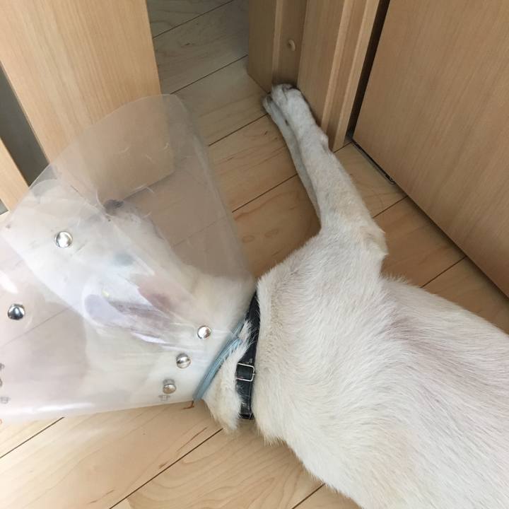 C421b615 d30e 4f3a adc2 a2706b81a928