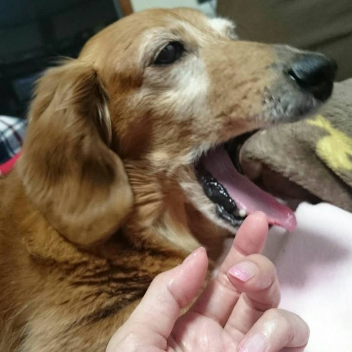 C421bef8 ddbf 4c79 a705 9df8e64938f5