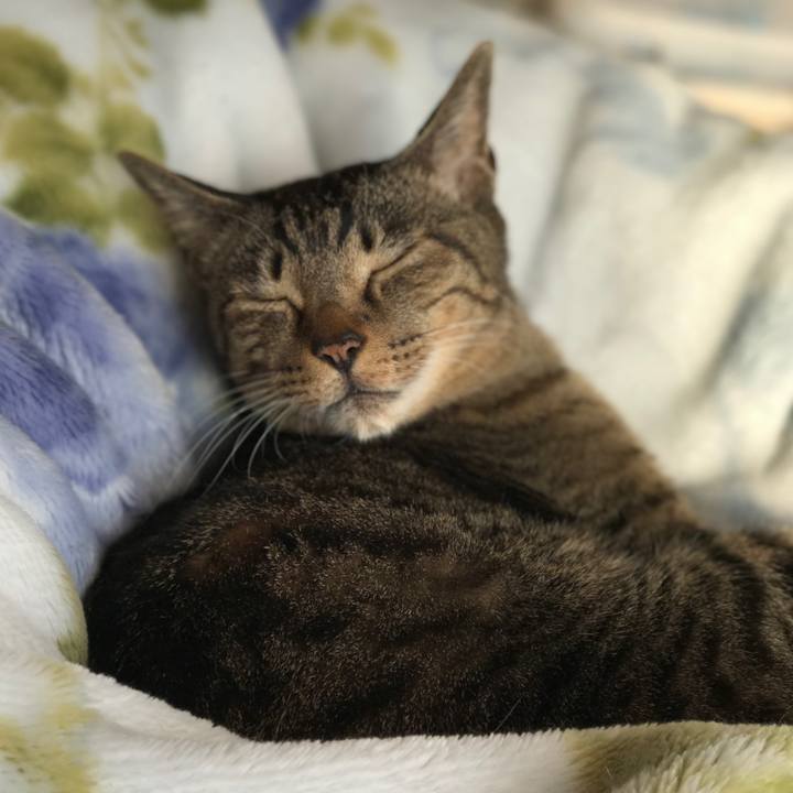 C4234a89 dc62 4f28 808c c7aa9590372e