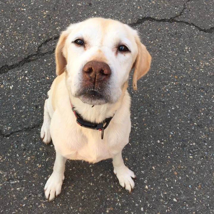 C4234e5f ad9b 43a0 a6b6 40284e359bc8