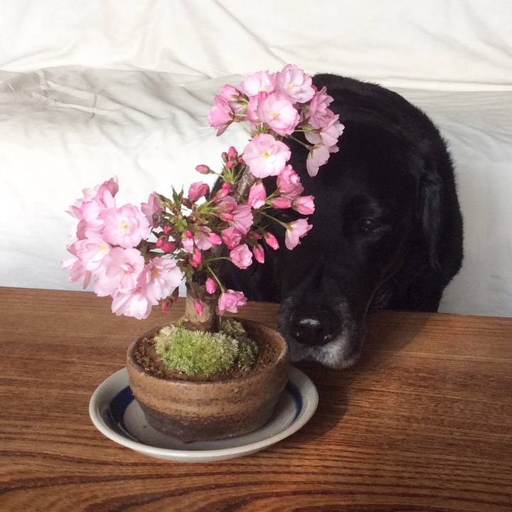 C423d357 c918 4890 88ec be1b2218eac8