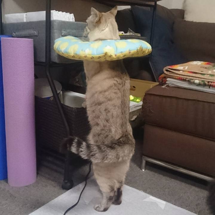 C4242215 dfc6 4bf9 b9b2 8518e7288db3