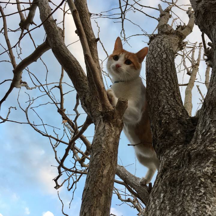 C4243838 b6d8 475e 97b0 54df46d924ef