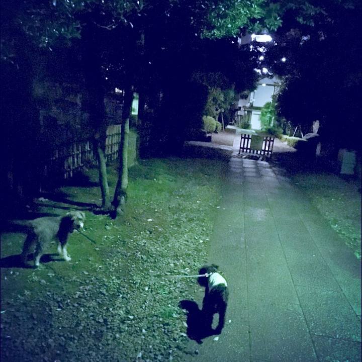 C424be97 80dd 431d bd20 08ed63c64205