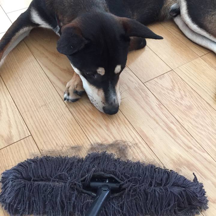 C424f294 221a 45e1 963e d240443db23d